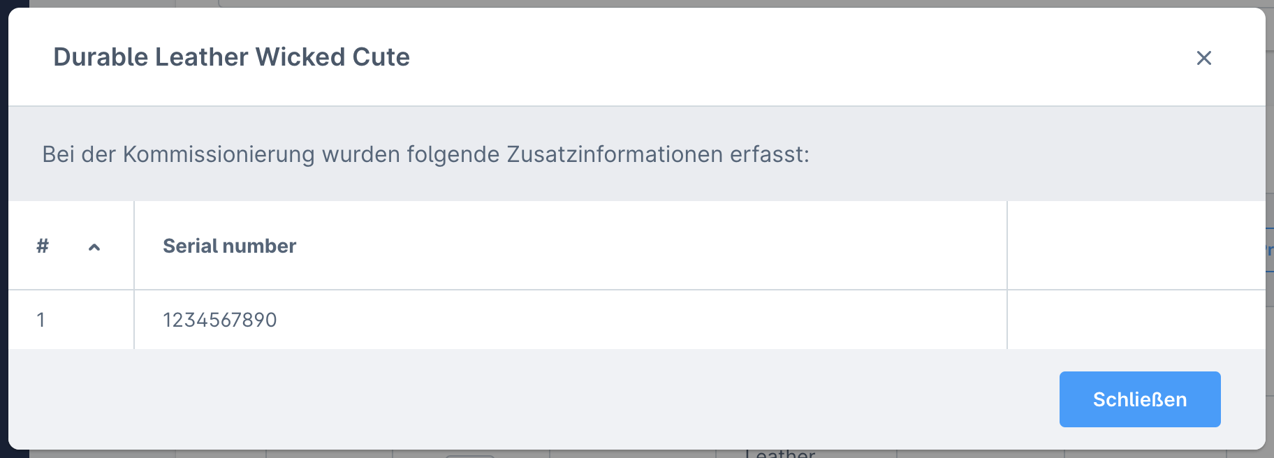 Zusatzinformationen_Admin2.png